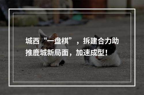 城西“一盘棋”，拆建合力助推鹿城新局面，加速成型！