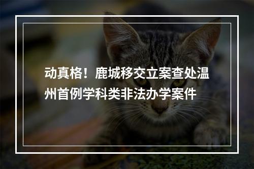 动真格！鹿城移交立案查处温州首例学科类非法办学案件