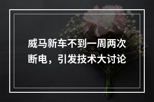 威马新车不到一周两次断电，引发技术大讨论