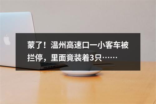 蒙了！温州高速口一小客车被拦停，里面竟装着3只……