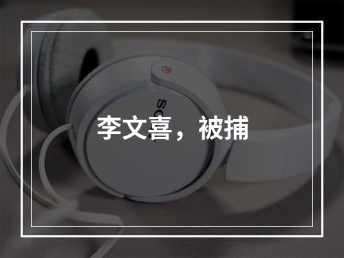 李文喜，被捕