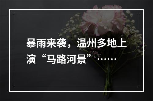 暴雨来袭，温州多地上演“马路河景”……