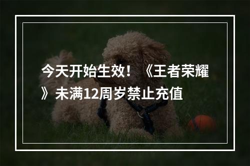 今天开始生效！《王者荣耀》未满12周岁禁止充值