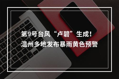 第9号台风“卢碧”生成！温州多地发布暴雨黄色预警