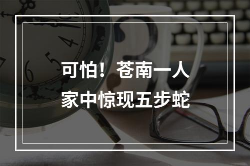 可怕！苍南一人家中惊现五步蛇