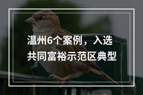 温州6个案例，入选共同富裕示范区典型