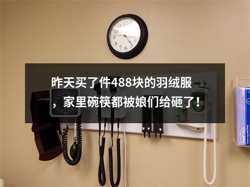 昨天买了件488块的羽绒服，家里碗筷都被娘们给砸了！