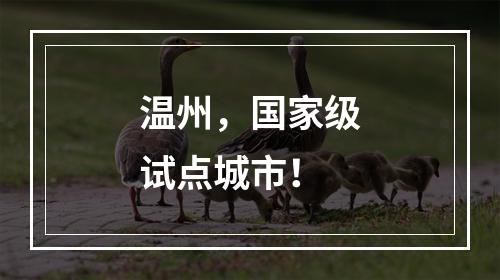 温州，国家级试点城市！