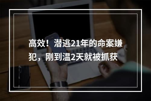 高效！潜逃21年的命案嫌犯，刚到温2天就被抓获