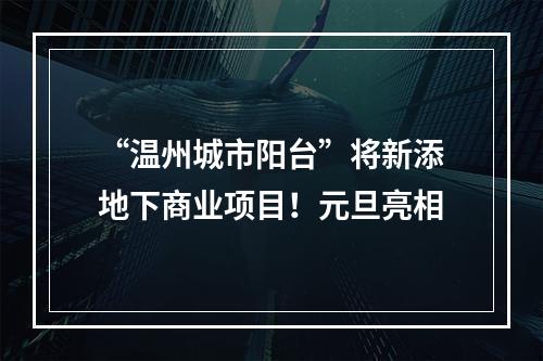“温州城市阳台”将新添地下商业项目！元旦亮相