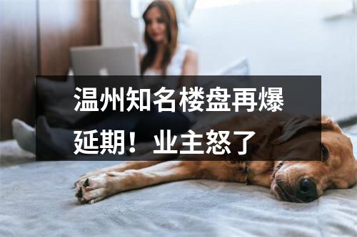 温州知名楼盘再爆延期！业主怒了