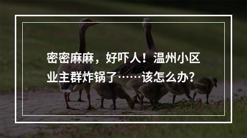 密密麻麻，好吓人！温州小区业主群炸锅了……该怎么办？