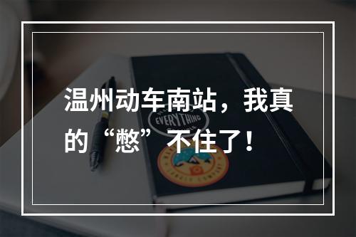 温州动车南站，我真的“憋”不住了！