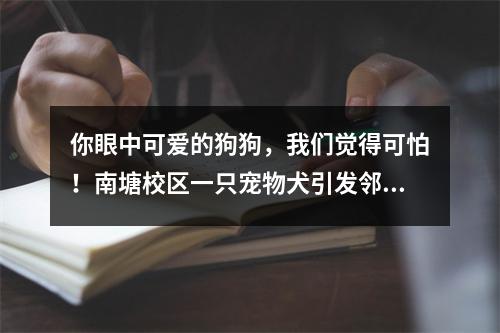 你眼中可爱的狗狗，我们觉得可怕！南塘校区一只宠物犬引发邻里冲突