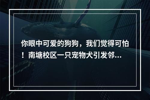 你眼中可爱的狗狗，我们觉得可怕！南塘校区一只宠物犬引发邻里冲突