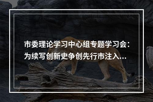 市委理论学习中心组专题学习会：为续写创新史争创先行市注入强大动力