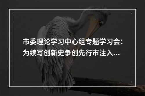 市委理论学习中心组专题学习会：为续写创新史争创先行市注入强大动力