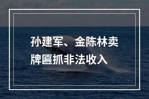 孙建军、金陈林卖牌匾抓非法收入
