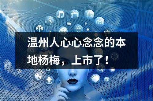 温州人心心念念的本地杨梅，上市了！