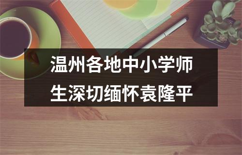 温州各地中小学师生深切缅怀袁隆平