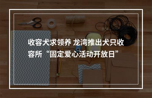 收容犬求领养 龙湾推出犬只收容所“固定爱心活动开放日”