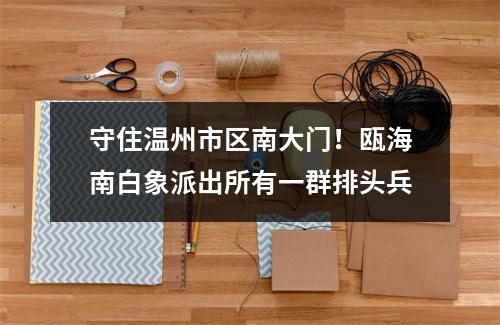 守住温州市区南大门！瓯海南白象派出所有一群排头兵