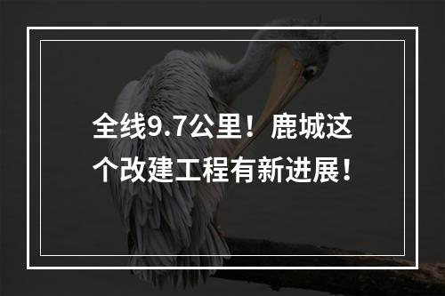 全线9.7公里！鹿城这个改建工程有新进展！