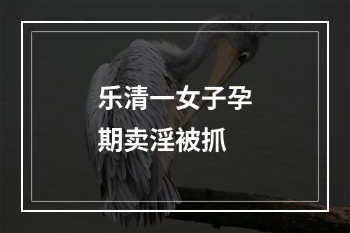 乐清一女子孕期卖淫被抓