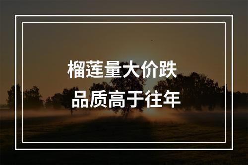 榴莲量大价跌  品质高于往年