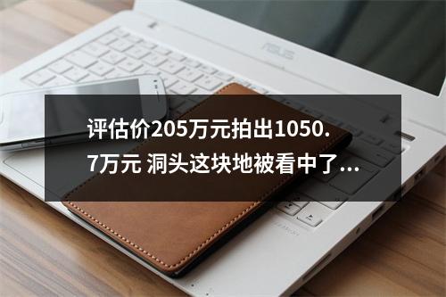 评估价205万元拍出1050.7万元 洞头这块地被看中了啥