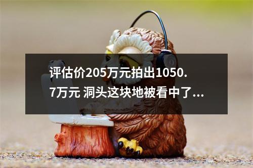 评估价205万元拍出1050.7万元 洞头这块地被看中了啥