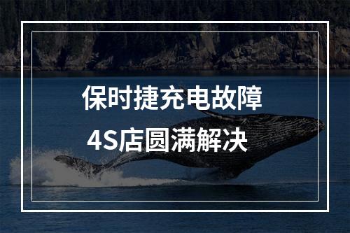 保时捷充电故障  4S店圆满解决