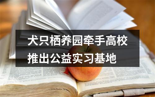 犬只栖养园牵手高校推出公益实习基地