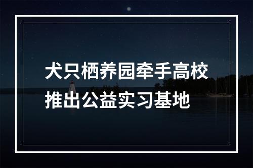 犬只栖养园牵手高校推出公益实习基地