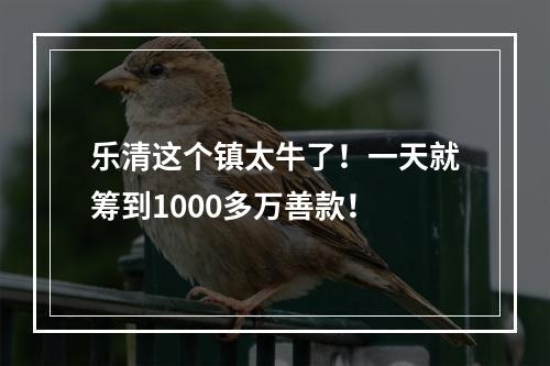 乐清这个镇太牛了！一天就筹到1000多万善款！