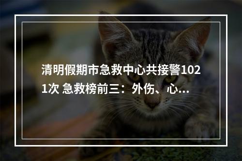 清明假期市急救中心共接警1021次 急救榜前三：外伤、心脑血管疾病、酒精中毒