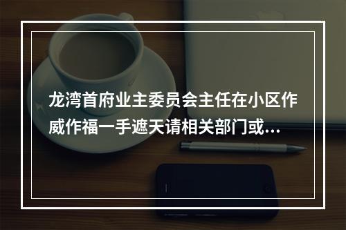 龙湾首府业主委员会主任在小区作威作福一手遮天请相关部门或纪委严查