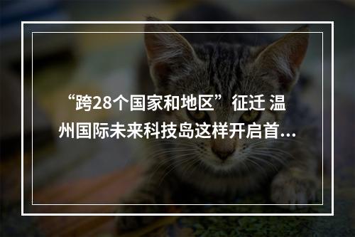 “跨28个国家和地区”征迁 温州国际未来科技岛这样开启首战