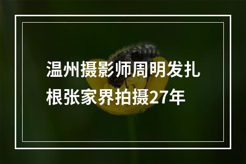 温州摄影师周明发扎根张家界拍摄27年