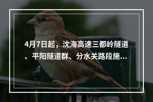 4月7日起，沈海高速三都岭隧道、平阳隧道群、分水关路段施工清洗，过往车辆注意绕行！