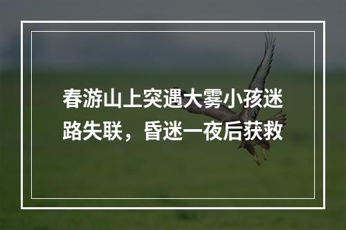 春游山上突遇大雾小孩迷路失联，昏迷一夜后获救