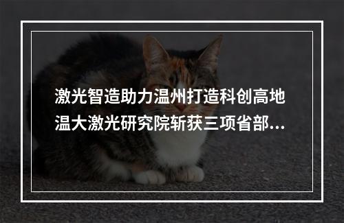 激光智造助力温州打造科创高地 温大激光研究院斩获三项省部级殊荣