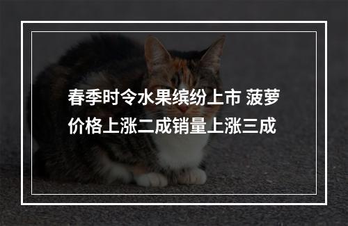 春季时令水果缤纷上市 菠萝价格上涨二成销量上涨三成