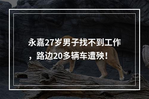 永嘉27岁男子找不到工作，路边20多辆车遭殃！