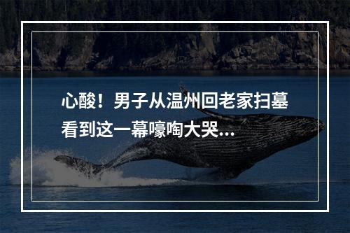 心酸！男子从温州回老家扫墓看到这一幕嚎啕大哭...