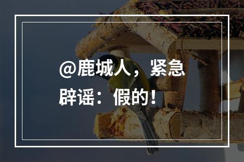 @鹿城人，紧急辟谣：假的！