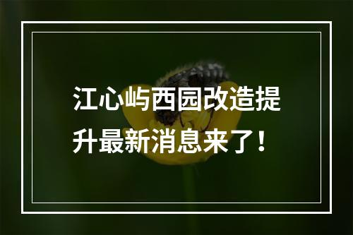 江心屿西园改造提升最新消息来了！