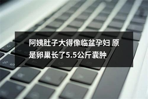 阿姨肚子大得像临盆孕妇 原是卵巢长了5.5公斤囊肿