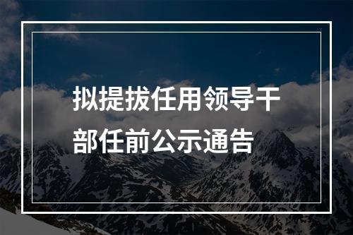 拟提拔任用领导干部任前公示通告