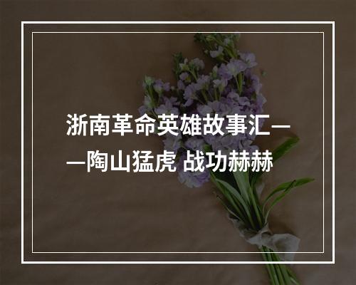 浙南革命英雄故事汇——陶山猛虎 战功赫赫